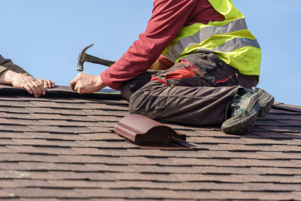 Best Storm Damage Roof Repair  in Linden, MI