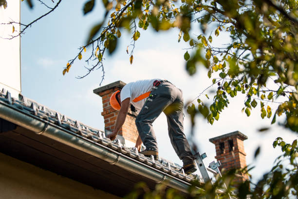 Best Affordable Roofing Company  in Linden, MI