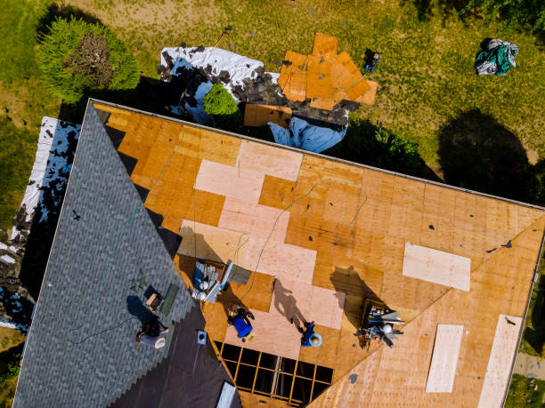 Best Metal Roofing Contractor  in Linden, MI