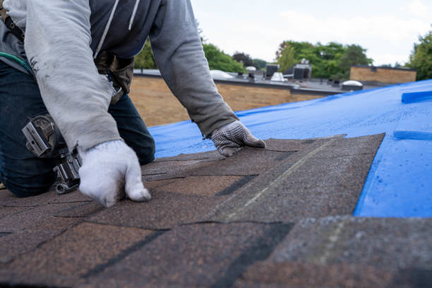 Best Flat Roof Repair Services  in Linden, MI