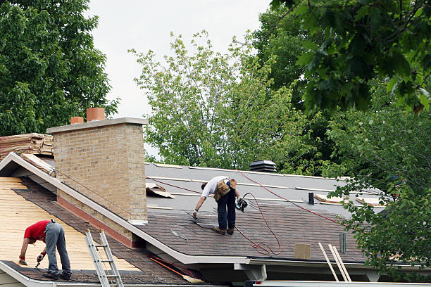 Best Roof Inspection Near Me  in Linden, MI