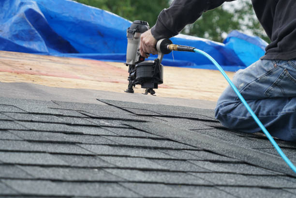 Best Shingle Roofing Installation  in Linden, MI