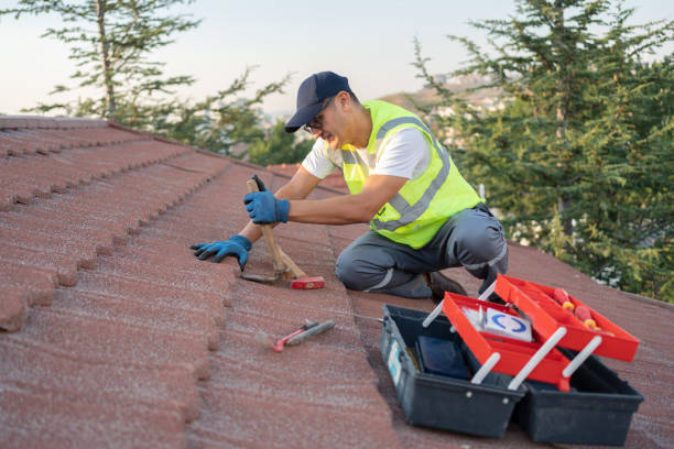 Best Best Roofing Contractors  in Linden, MI