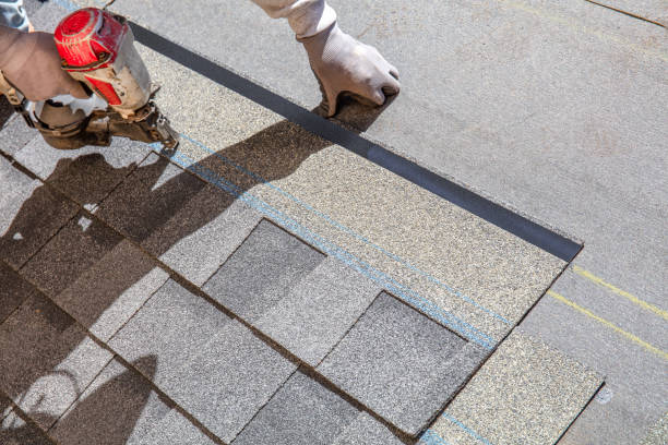 Best Sealant for Roof  in Linden, MI