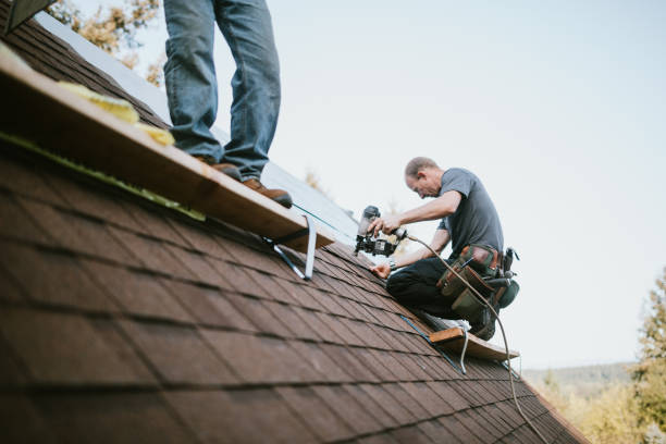 Best Roof Waterproofing Services  in Linden, MI